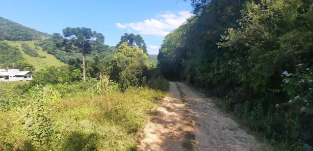 Fazenda / Sítio / Chácara com 2 Quartos à venda, 20000m² no , Águas Mornas