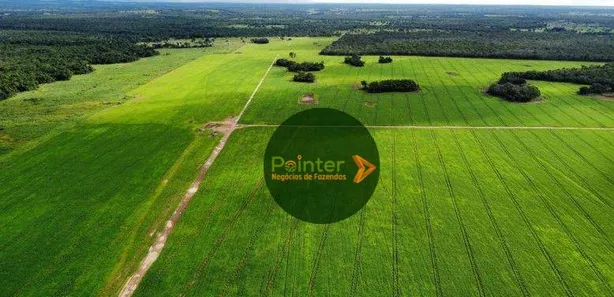 Fazenda / Sítio / Chácara à venda, 7000000m² no Setor Central, Gurupi