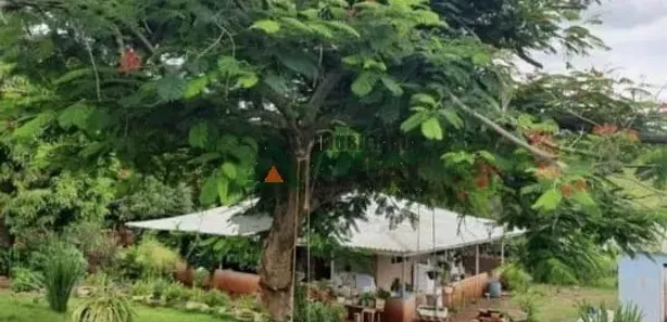 Fazenda / Sítio / Chácara à venda, 100m² no , Assaí