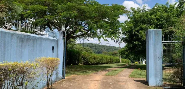 Fazenda / Sítio / Chácara com 4 Quartos à venda, 36980m² no Chácara São José, Jaguariúna