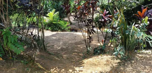 Fazenda / Sítio / Chácara com 2 Quartos à venda, 200000m² no Nossa Senhora do O, Ipojuca