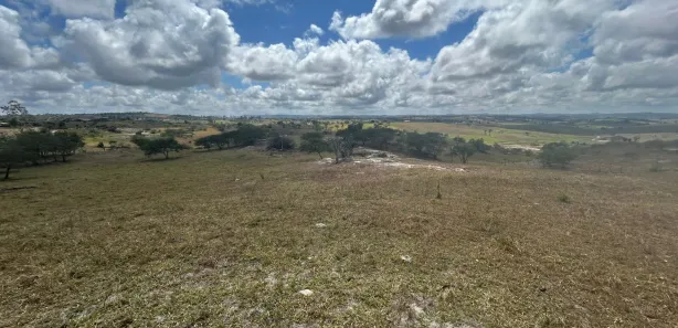 Fazenda / Sítio / Chácara à venda, 230000m² no , Sairé