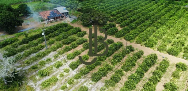 Fazenda / Sítio / Chácara com 2 Quartos à venda, 100m² no Centro, Alhandra