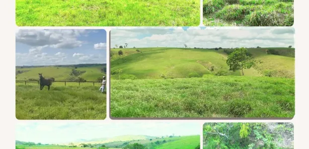 Fazenda / Sítio / Chácara à venda, 496100m² no Centro, Nossa Senhora das Dores