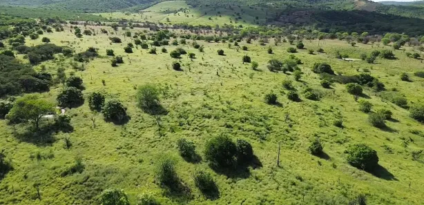 Fazenda / Sítio / Chácara à venda, 2180000m² no Área Rural de Gravatá, Gravatá