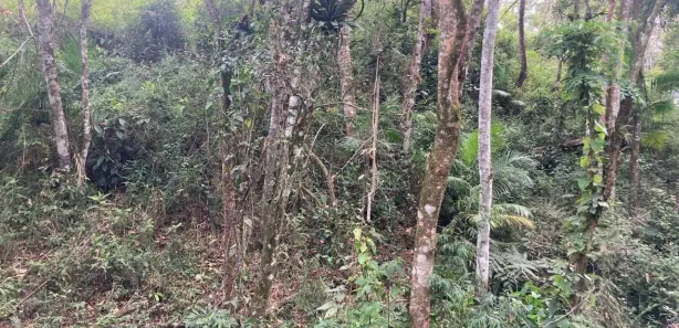 Terreno / Lote / Condomínio à venda, 4000m² no São João Batista, São João Batista