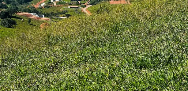 Terreno / Lote / Condomínio à venda, 1000m² no Almeida Prado, Igaratá