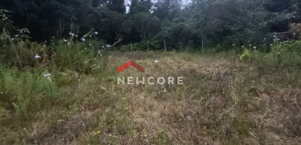 Terreno / Lote / Condomínio à venda, 400m² no Boracéia, São Sebastião
