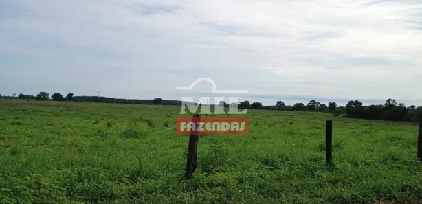 Fazenda / Sítio / Chácara à venda, 500m² no , Formoso do Araguaia