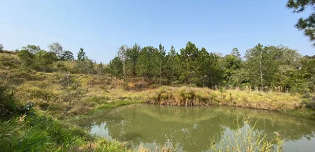 Fazenda / Sítio / Chácara à venda, 2m² no , Sarapuí