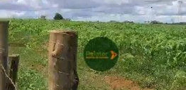 Fazenda / Sítio / Chácara à venda, 360000m² no Chácaras Quedas do Descoberto, Águas Lindas de Goiás