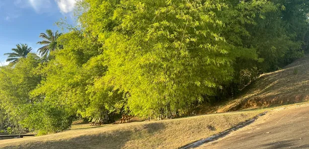 Terreno / Lote / Condomínio à venda, 435m² no Catu de Abrantes (Abrantes), Camaçari