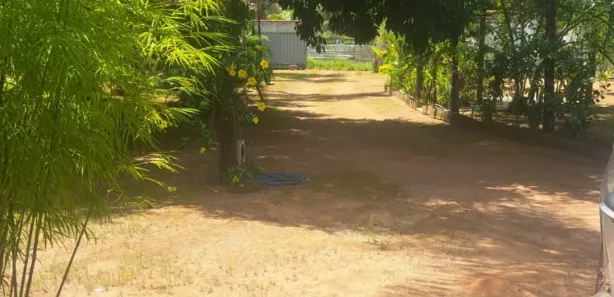 Fazenda / Sítio / Chácara com 5 Quartos à venda, 20000m² no Ponte Alta Norte, Brasília