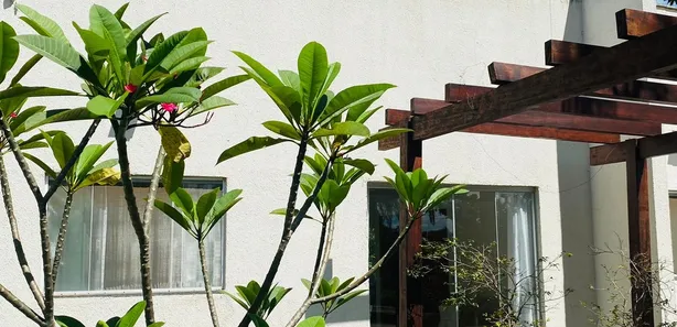 Casa de Condomínio com 3 Quartos à venda, 1354m² no Setor Central, Indiara