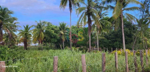Terreno / Lote / Condomínio à venda, 8500m² no Canavieiras, Canavieiras
