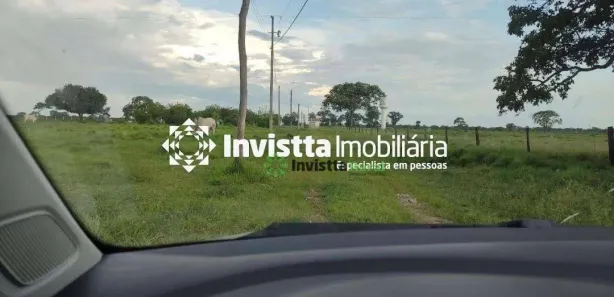 Fazenda / Sítio / Chácara à venda, 1450m² no Centro, Pium