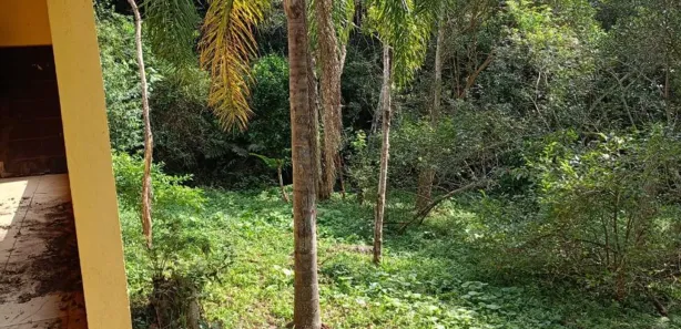 Fazenda / Sítio / Chácara com 3 Quartos à venda, 5000m² no Centro, São Lourenço da Serra