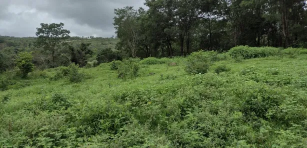 Terreno / Lote / Condomínio à venda, 20000m² no Zona Rural, Fortuna de Minas