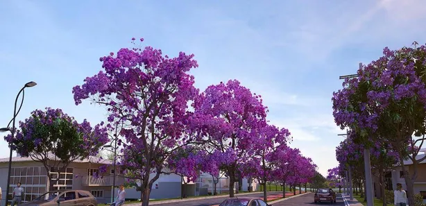 Terreno / Lote / Condomínio à venda, 250m² no Água Espraiada (Caucaia do Alto), Cotia