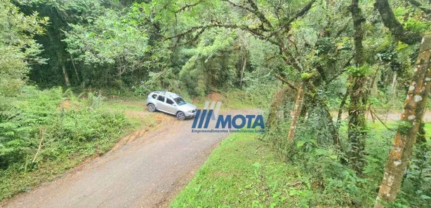 Fazenda / Sítio / Chácara com 1 Quarto à venda, 19367m² no Quatro Barras, Quatro Barras