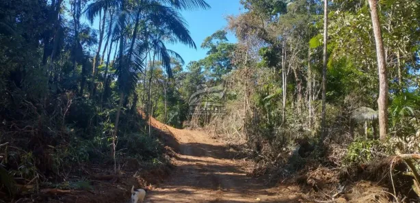 Terreno / Lote / Condomínio à venda, 44463m² no , São Pedro de Alcântara