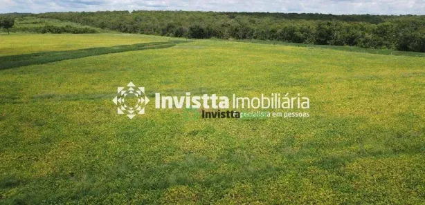 Fazenda / Sítio / Chácara à venda, 2154m² no , Pedro Afonso