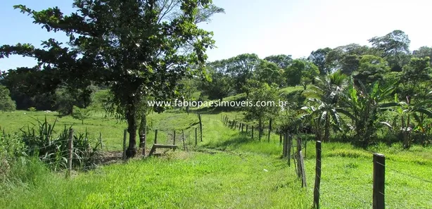Fazenda / Sítio / Chácara com 4 Quartos à venda, 242000m² no Maraporã, Cachoeiras de Macacu