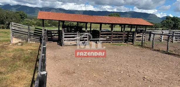 Fazenda / Sítio / Chácara à venda, 500m² no , Paranã