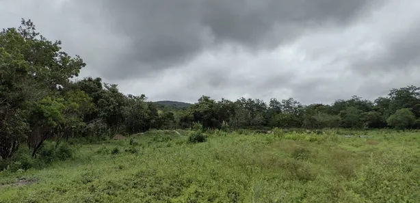 Terreno / Lote / Condomínio à venda, 20000m² no , Fortuna de Minas