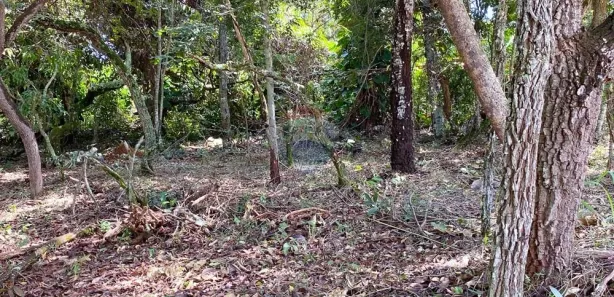 Terreno / Lote / Condomínio à venda, 2187m² no Setor Habitacional Tororó, Brasília