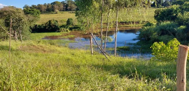Fazenda / Sítio / Chácara com 2 Quartos à venda, 64130m² no , Nerópolis