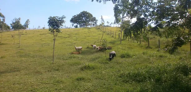 Fazenda / Sítio / Chácara à venda, 14700m² no Centro, Tanguá