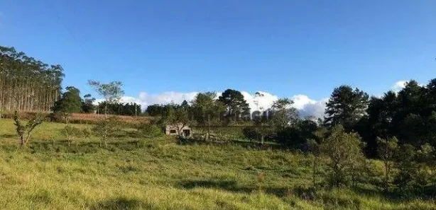 Fazenda / Sítio / Chácara à venda, 91960m² no , Pilar do Sul