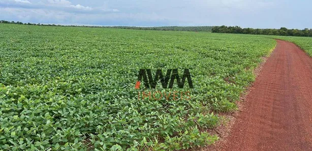Fazenda / Sítio / Chácara à venda, 24829200m² no , Pedro Afonso