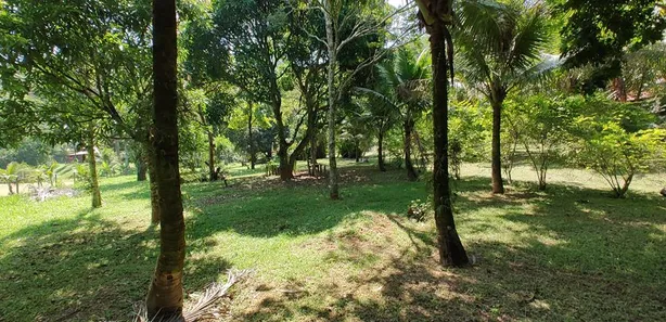 Fazenda / Sítio / Chácara com 2 Quartos à venda, 22000m² no Nossa Senhora do Amparo, Barra Mansa