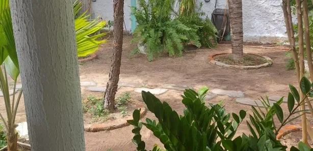 Fazenda / Sítio / Chácara com 2 Quartos à venda, 600m² no Massangano, Petrolina