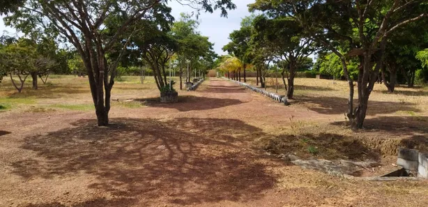 Fazenda / Sítio / Chácara com 3 Quartos à venda, 500m² no Área Rural do Gama, Brasília