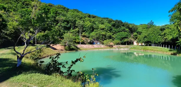 Casa de Condomínio com 4 Quartos à venda, 1600m² no , Ilha de Itamaracá