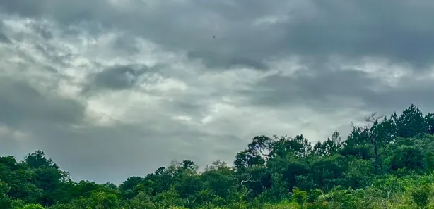 Fazenda / Sítio / Chácara à venda, 1000m² no Saboó, São Roque