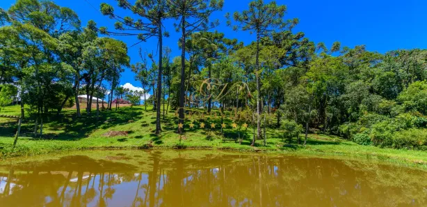 Fazenda / Sítio / Chácara com 2 Quartos à venda, 15000m² no Palmitalzinho, Quatro Barras