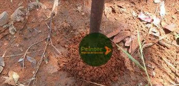 Fazenda / Sítio / Chácara à venda, 4900500m² no , Ponte Alta do Tocantins