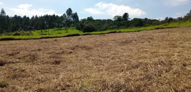 Fazenda / Sítio / Chácara à venda, 1000m² no Saboó, São Roque