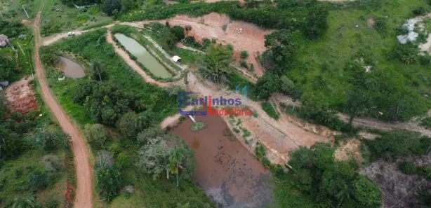 Terreno / Lote / Condomínio à venda, 20000m² no , Florestal