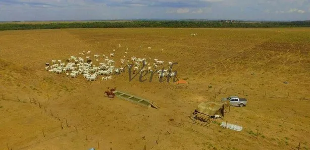 com 1 Quarto à venda, 305m² no , Guaraí