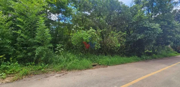 Fazenda / Sítio / Chácara com 1 Quarto à venda, 11000m² no São Miguel, Almirante Tamandaré