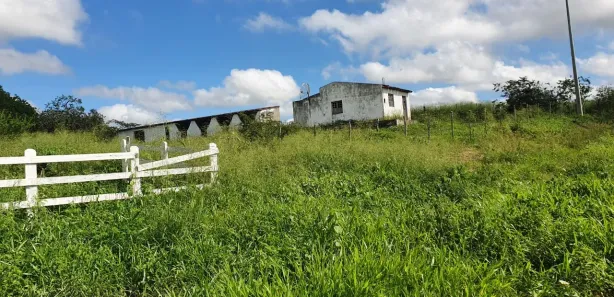 Fazenda / Sítio / Chácara com 3 Quartos à venda, 3100m² no , Passira