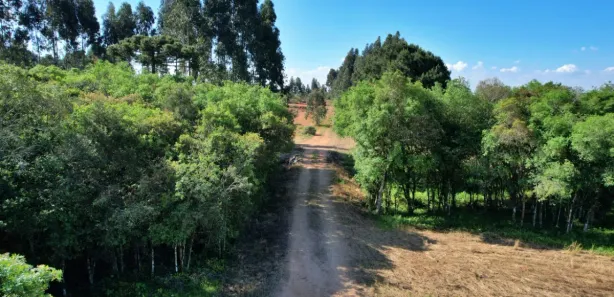 Fazenda / Sítio / Chácara com 1 Quarto à venda, 36000m² no Eucaliptos, Fazenda Rio Grande