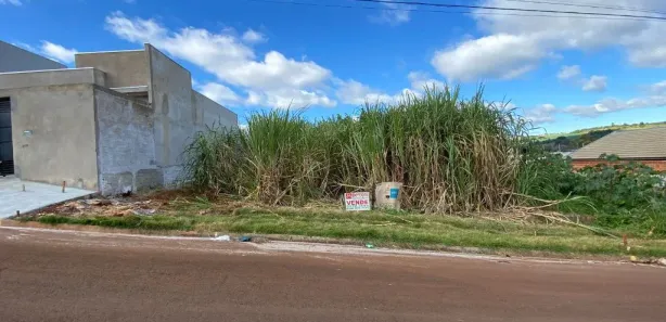 Terreno / Lote / Condomínio à venda, 260m² no Loteamento Metropolitam, Arapongas