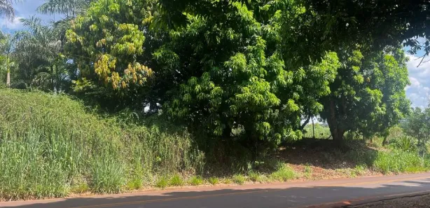 Terreno / Lote / Condomínio à venda, 156505m² no Área Rural de Limeira, Limeira