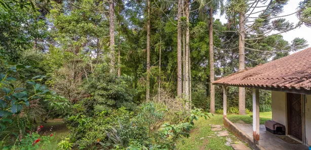 Fazenda / Sítio / Chácara com 3 Quartos à venda, 100m² no Parque das Nascentes, Pinhais